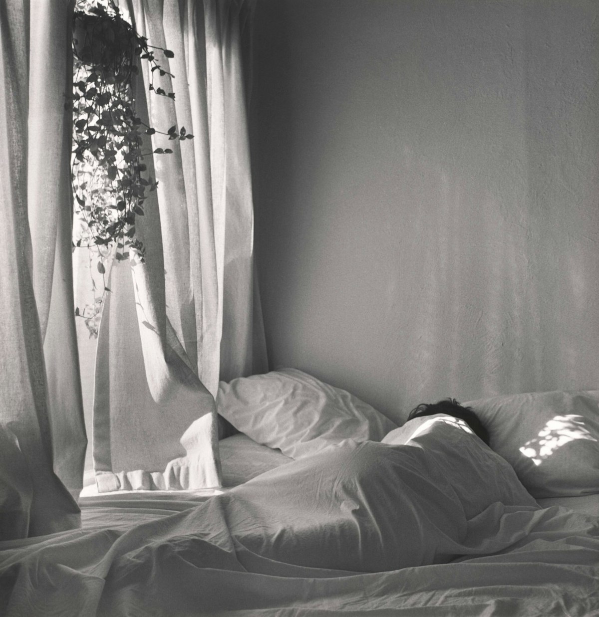Joanne Leonard, Another Morning, 1971